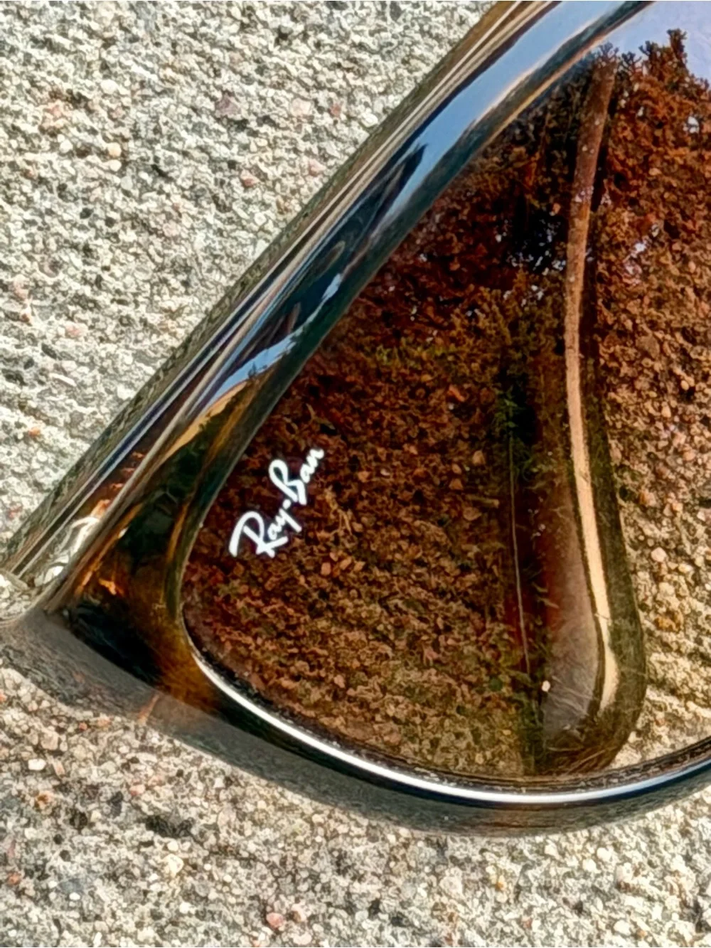 Ray-Ban Emma Sunglasses